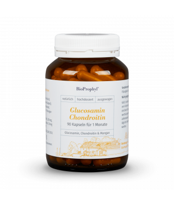 Complejo Articular Glucosamina + Condroitina