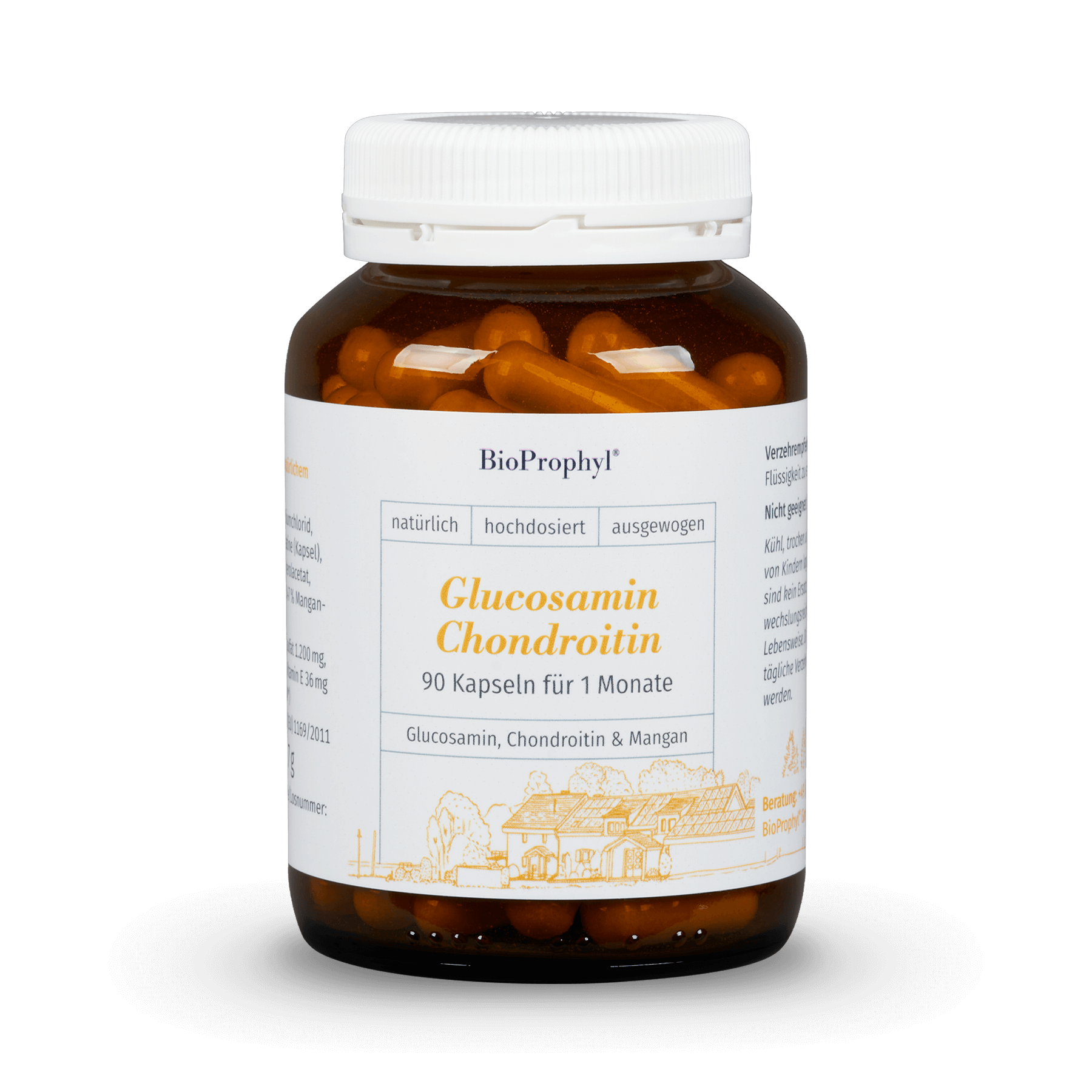 Complejo Articular Glucosamina + Condroitina