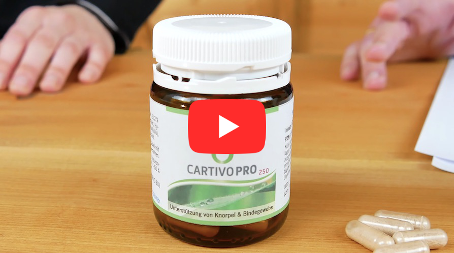 Vorschaubild zum CartivoPro-Video